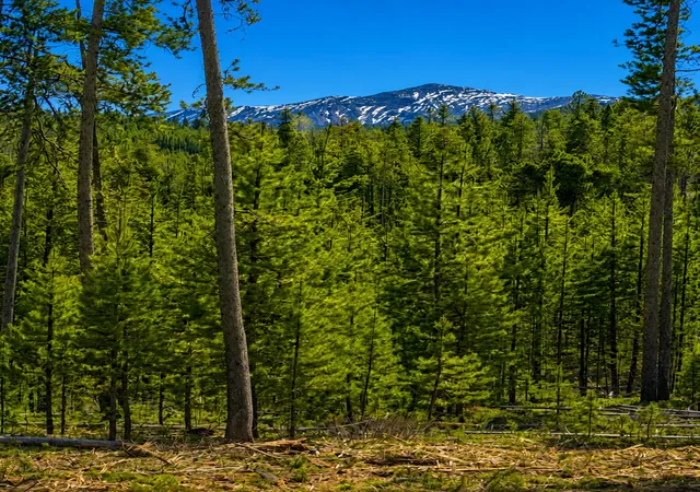 Photo 2 of Land for sale at Lot 12 Tbd Herring Flats Rd Dr, Anaconda, MT 59711 | MLS# 30078018 | Listing updated on 2026-09-08