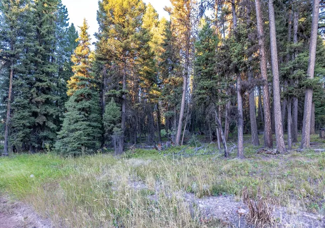 Photo 3 of Land for sale at 412 Glacier Dr, Seeley Lake, MT 59868 | MLS# 30077860 | Listing updated on 2026-09-08