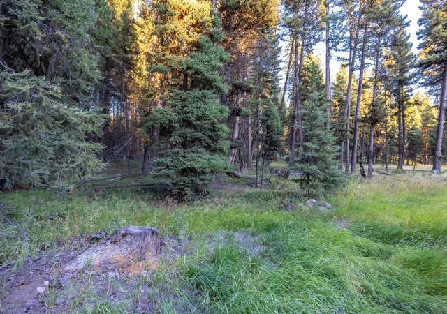 Photo 3 of Land for sale at 412 Glacier Dr, Seeley Lake, MT 59868 | MLS# 30077860 | Listing updated on 2026-09-08
