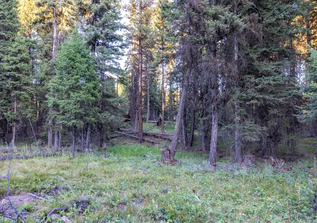 Photo 4 of Land for sale at 412 Glacier Dr, Seeley Lake, MT 59868 | MLS# 30077860 | Listing updated on 2026-09-08