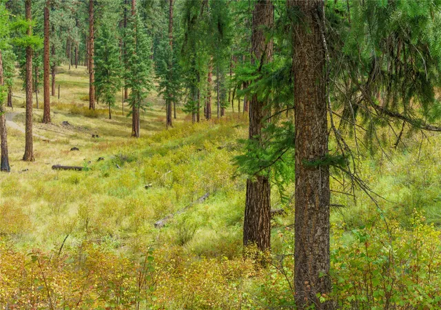 Photo 1 of Land for sale at (Undisclosed), Kila, MT 59920 | MLS# 30076881 | Listing updated on 2026-09-09