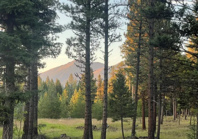 Photo 2 of Land for sale at 1787 Grandview Dr, Seeley Lake, MT 59868 | MLS# 30078137 | Listing updated on 2026-09-11