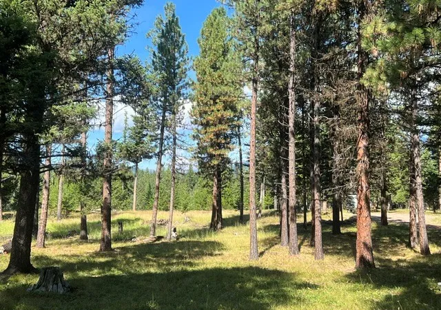 Photo 3 of Land for sale at 1787 Grandview Dr, Seeley Lake, MT 59868 | MLS# 30078137 | Listing updated on 2026-09-11