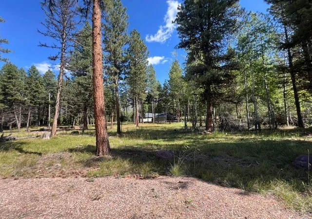 Photo 3 of Land for sale at 1787 Grandview Dr, Seeley Lake, MT 59868 | MLS# 30078137 | Listing updated on 2026-09-11