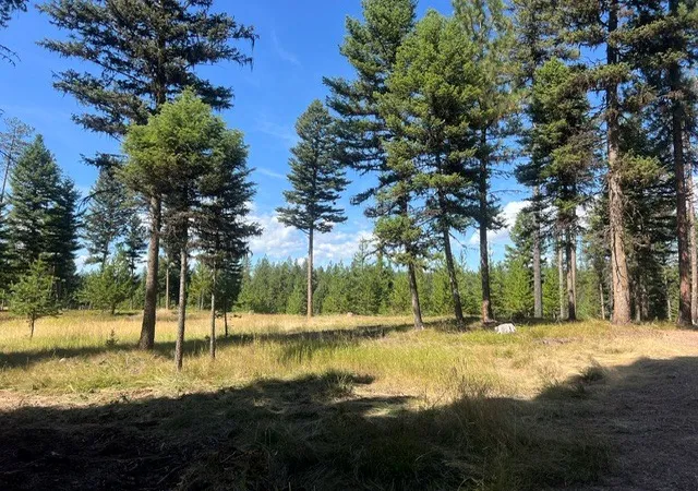 Photo 4 of Land for sale at 1787 Grandview Dr, Seeley Lake, MT 59868 | MLS# 30078137 | Listing updated on 2026-09-11