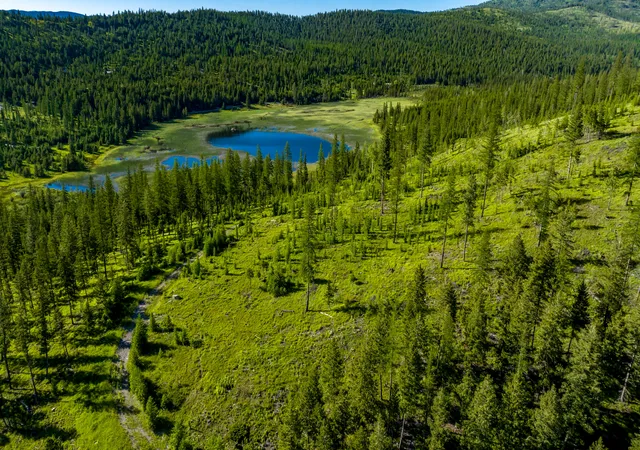 Photo 1 of Land for sale at 151 Hodge Lake Trl, Kila, MT 59920 | MLS# 30078124 | Listing updated on 2026-09-10