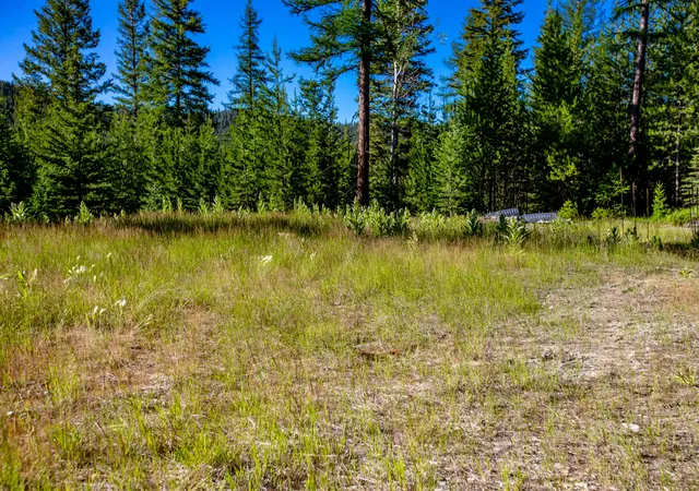Photo 4 of Land for sale at 151 Hodge Lake Trl, Kila, MT 59920 | MLS# 30078124 | Listing updated on 2026-09-10