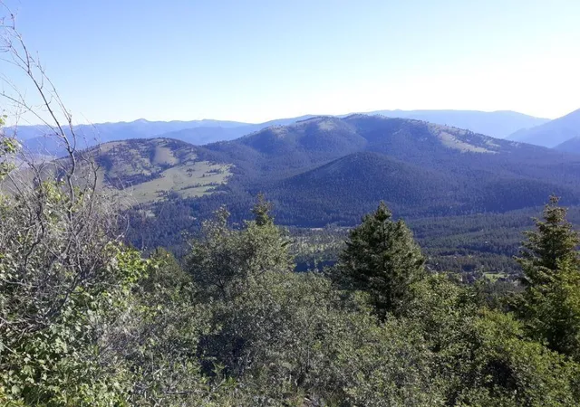 Photo 2 of Land for sale at Nhn Larch Camp Rd, Missoula, MT 59803 | MLS# 30078148 | Listing updated on 2026-09-10