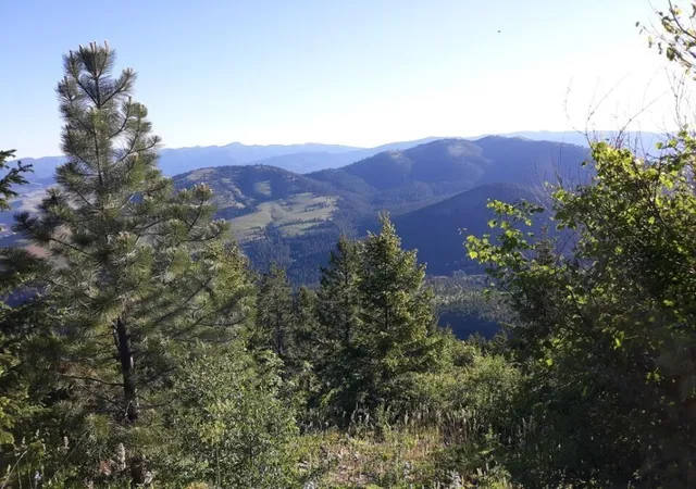 Photo 3 of Land for sale at Nhn Larch Camp Rd, Missoula, MT 59803 | MLS# 30078148 | Listing updated on 2026-09-10