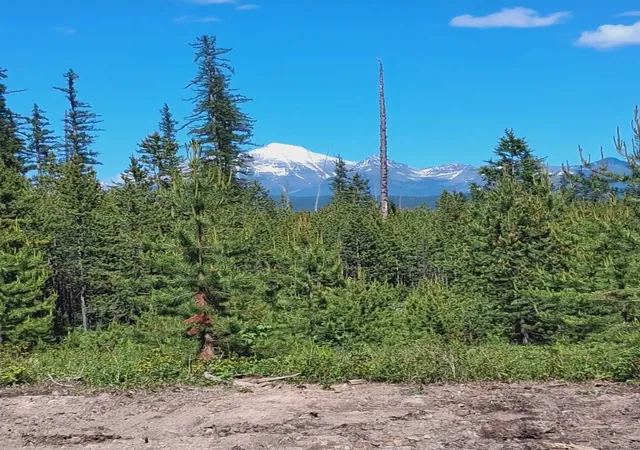 Photo 2 of Land for sale at 11532 North Frk Rd, Polebridge, MT 59928 | MLS# 30078206 | Listing updated on 2026-10-06