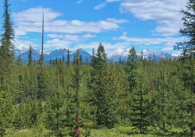 Photo 1 of Land for sale at 11532 North Frk Rd, Polebridge, MT 59928 | MLS# 30078206 | Listing updated on 2026-10-06