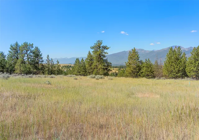 Land for sale at 842 Sandhill Loop, Florence, MT 59833 | MLS# 30078201