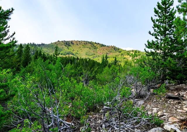 Photo 1 of Land for sale at Nhn Sheri Trl #15, Anaconda, MT 59711 | MLS# 30078256 | Listing updated on 2026-09-11