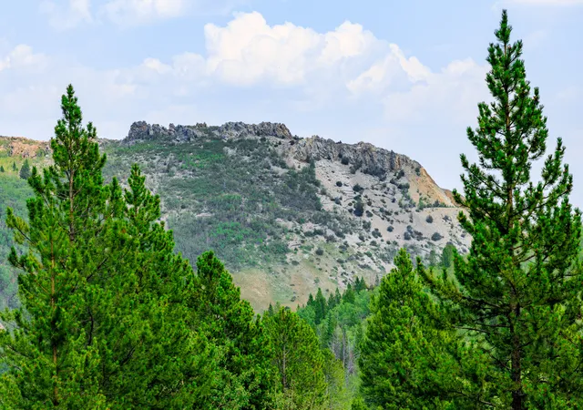 Photo 2 of Land for sale at Nhn Sheri Trl #15, Anaconda, MT 59711 | MLS# 30078256 | Listing updated on 2026-09-11