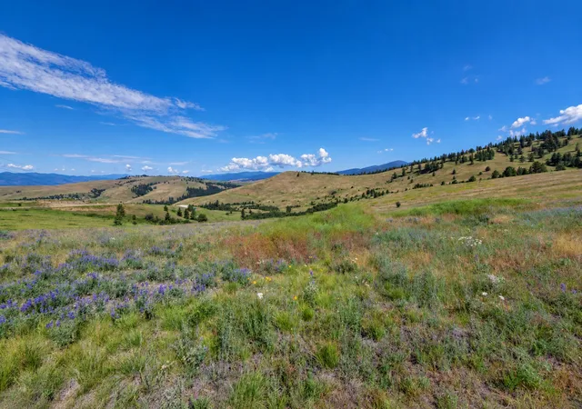 Land for sale at 32.93 Acres Gleneagle Way, Missoula, MT 59808 | MLS# 30078287