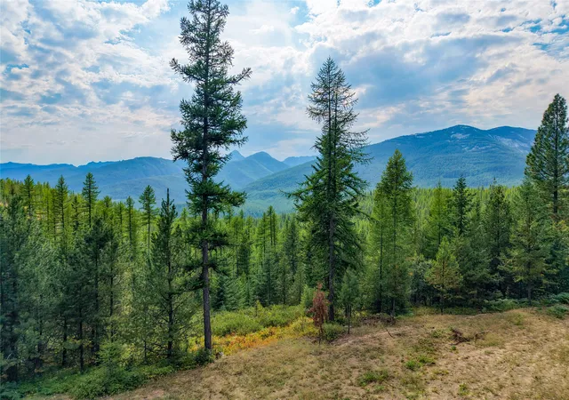 Photo 1 of Land for sale at 14469 Libby Crk Rd, Libby, MT 59923 | MLS# 30078274 | Listing updated on 2026-09-15