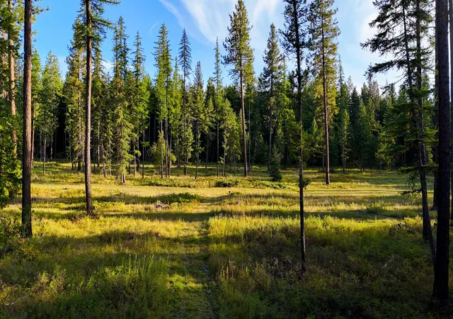 Photo 3 of Land for sale at 48220 Middle Crk Trl, Ronan, MT 59864 | MLS# 30078319 | Listing updated on 2026-09-17