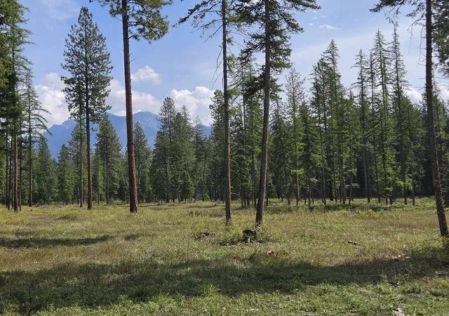 Photo 4 of Land for sale at 48220 Middle Crk Trl, Ronan, MT 59864 | MLS# 30078319 | Listing updated on 2026-09-17
