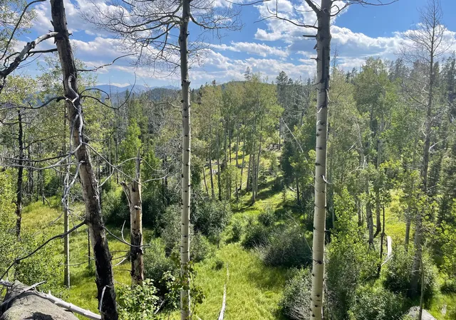 Photo 1 of Land for sale at Nhn Gold Bug Lode Ms 8026, Butte, MT 59707 | MLS# 30078327 | Listing updated on 2026-09-14