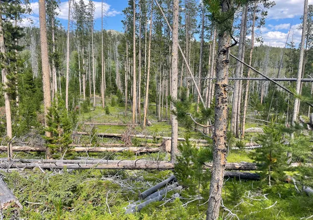 Photo 2 of Land for sale at Nhn Gold Bug Lode Ms 8026, Butte, MT 59707 | MLS# 30078327 | Listing updated on 2026-09-14