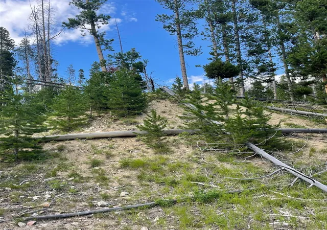 Photo 3 of Land for sale at Nhn Gold Bug Lode Ms 8026, Butte, MT 59707 | MLS# 30078327 | Listing updated on 2026-09-14