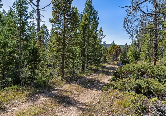 Photo 4 of Land for sale at Nhn Quartz Hl Rd, Wise River, MT 59762 | MLS# 30078366 | Listing updated on 2026-09-15