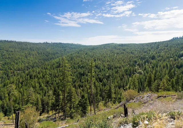 Photo 3 of Land for sale at Nhn Idaho Hl Rd, Marion, MT 59925 | MLS# 30077862 | Listing updated on 2026-09-14