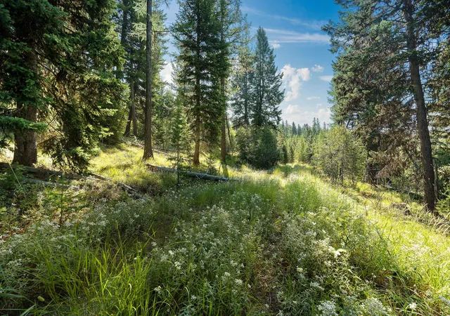 Photo 3 of Land for sale at Nhn Fish Crk Rd, Kalispell, MT 59901 | MLS# 30077853 | Listing updated on 2026-09-14