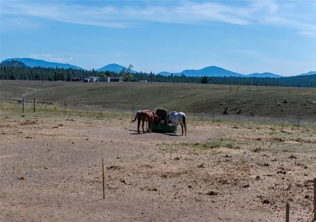 Photo 70 of Single family home for sale at 2376 Tea Rd, Helena, MT 59602 | MLS# 30078467 | Listing updated on 2026-09-15
