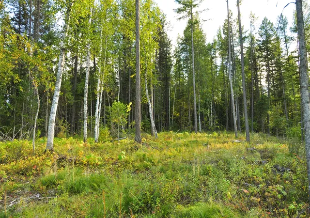 Photo 3 of Land for sale at Nhn Highland Dr, West Glacier, MT 59936 | MLS# 30078207 | Listing updated on 2026-09-16