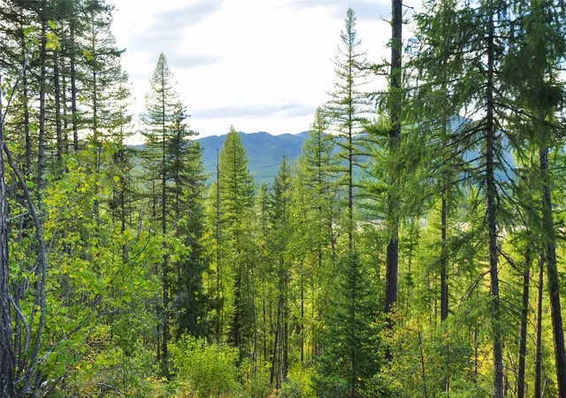 Photo 4 of Land for sale at Nhn Highland Dr, West Glacier, MT 59936 | MLS# 30078207 | Listing updated on 2026-09-16