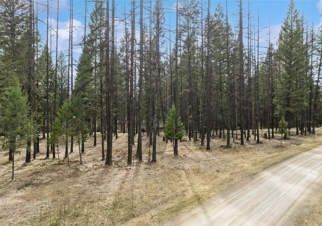 Land for sale at 25 Hillcrest Dr, Fortine, MT 59918 | MLS# 30078480