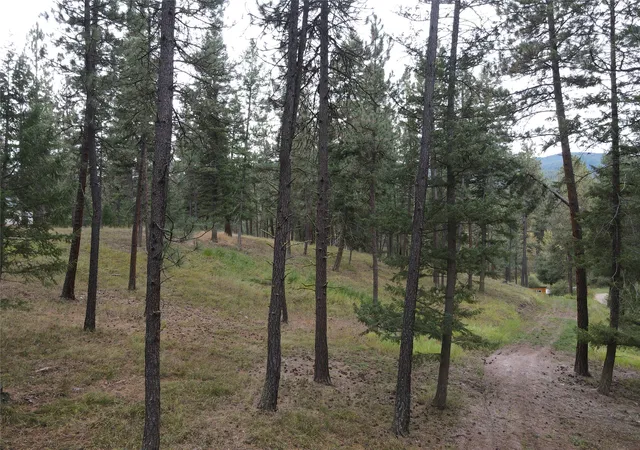 Photo 2 of Land for sale at 21481 Nine Mile Rd, Huson, MT 59846 | MLS# 30078452 | Listing updated on 2026-09-17