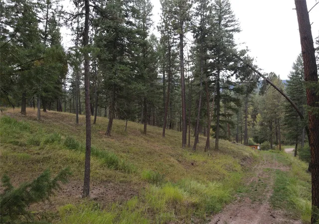Photo 3 of Land for sale at 21481 Nine Mile Rd, Huson, MT 59846 | MLS# 30078452 | Listing updated on 2026-09-17
