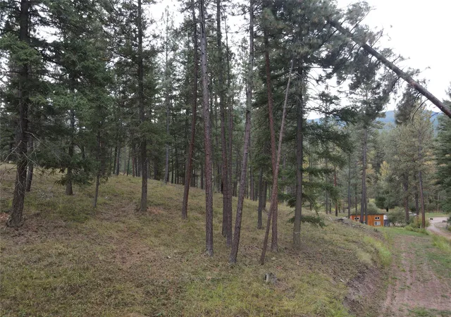 Photo 3 of Land for sale at 21481 Nine Mile Rd, Huson, MT 59846 | MLS# 30078452 | Listing updated on 2026-09-17