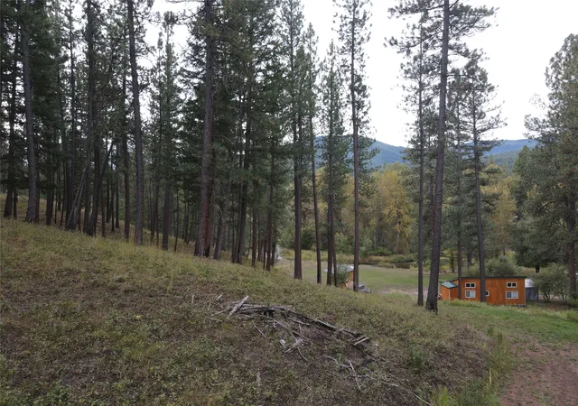 Photo 4 of Land for sale at 21481 Nine Mile Rd, Huson, MT 59846 | MLS# 30078452 | Listing updated on 2026-09-17