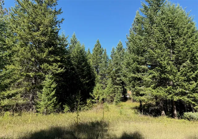 Photo 4 of Land for sale at 114 Mountain Timbers Dr, Columbia Falls, MT 59912 | MLS# 30078300 | Listing updated on 2026-09-17