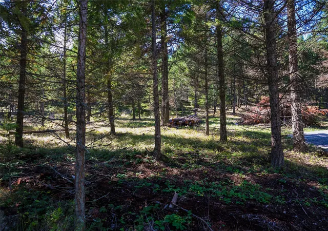 Land for sale at Lot 1 Tobacco Rd, Eureka, MT 59917 | MLS# 30078600