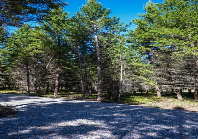 Photo 2 of Land for sale at Lot 1 Tobacco Rd, Eureka, MT 59917 | MLS# 30078600 | Listing updated on 2026-09-18