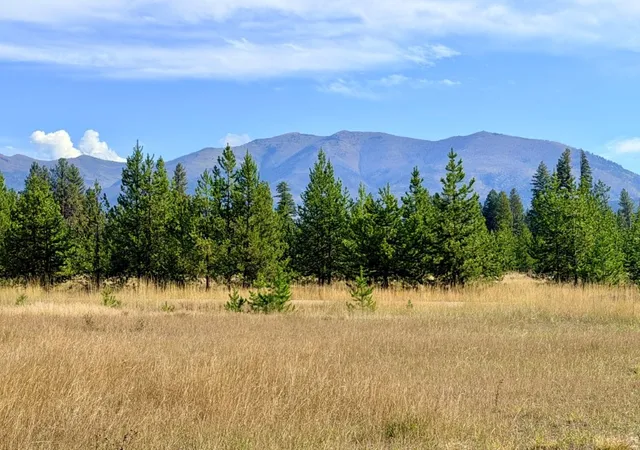 Photo 1 of Land for sale at 422 Daisy Ln, Seeley Lake, MT 59868 | MLS# 30078585 | Listing updated on 2026-09-18