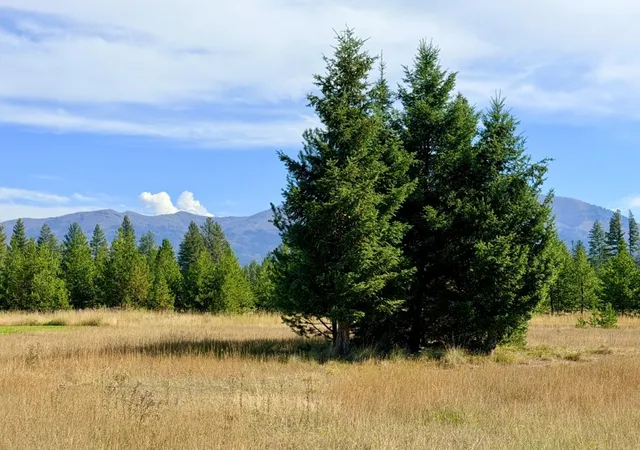 Photo 2 of Land for sale at 422 Daisy Ln, Seeley Lake, MT 59868 | MLS# 30078585 | Listing updated on 2026-09-18