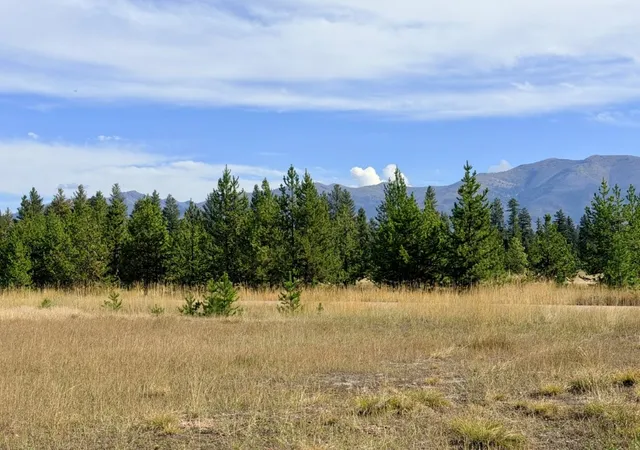 Photo 3 of Land for sale at 422 Daisy Ln, Seeley Lake, MT 59868 | MLS# 30078585 | Listing updated on 2026-09-18