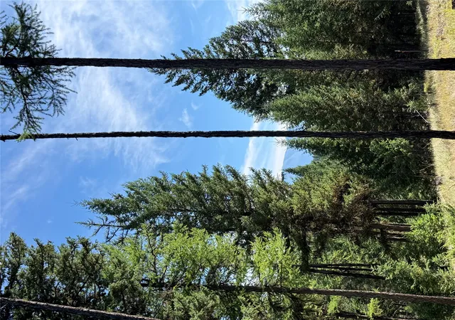 Photo 2 of Land for sale at Lot 4 Tobacco Rd, Eureka, MT 59917 | MLS# 30078644 | Listing updated on 2026-09-18
