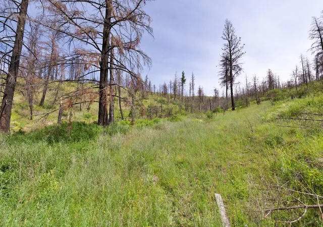 Photo 3 of Land for sale at 185 Lower Lamaraux Crk Rd, Paradise, MT 59856 | MLS# 30078625 | Listing updated on 2026-09-29