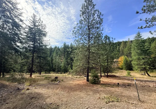 Single family home for sale at 173 Cedar Crk Rd, Plains, MT 59859 | MLS# 30078669