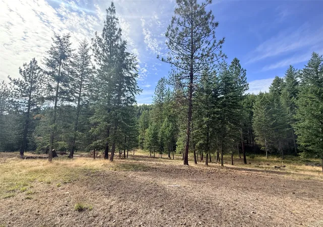Photo 2 of Single family home for sale at 173 Cedar Crk Rd, Plains, MT 59859 | MLS# 30078669 | Listing updated on 2026-09-19