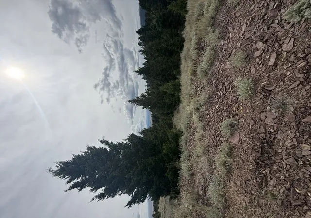 Photo 2 of Land for sale at 145 Panorama Dr, White Sulphur Springs, MT 59645 | MLS# 30078657 | Listing updated on 2026-09-19