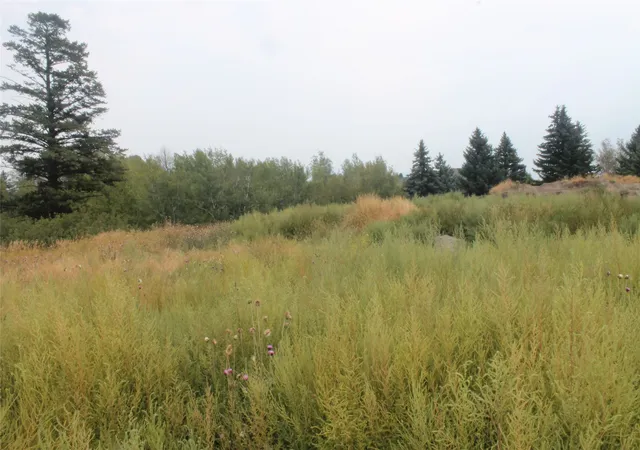 Photo 3 of Land for sale at 171 Westland Dr, Kalispell, MT 59901 | MLS# 30077201 | Listing updated on 2026-09-25