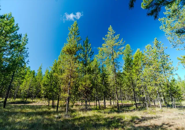 Photo 3 of Land for sale at 21 Gunsite Ct, Marion, MT 59925 | MLS# 30078210 | Listing updated on 2026-09-21