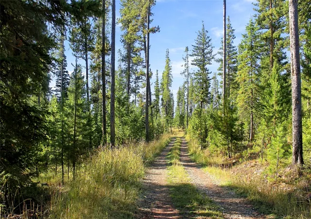 Photo 1 of Land for sale at Lot 14 Georgetown Lake Ests, Philipsburg, MT 59858 | MLS# 30078709 | Listing updated on 2026-10-05